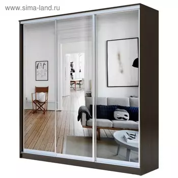 Шкаф - купе «Хит-22-18/2-555», с зеркалом, 18006202200 мм, цвет венге цаво