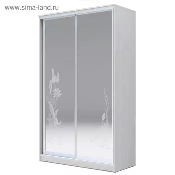 Шкаф-купе Хит-23-14-66 Белый, цапли