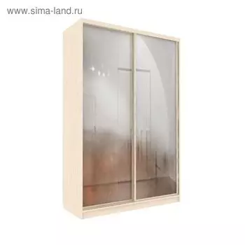 Шкаф-купе Практичный 2 зеркала Венге Светлый