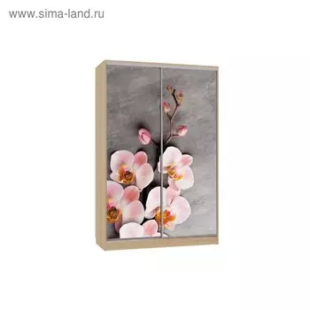 Шкаф-купе "Рио 7-600 78", 1200x600x2300, Дуб сонома