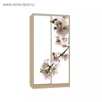 Шкаф-купе "Рио 7-600 яблоня", 1200x600x2300, Дуб сонома