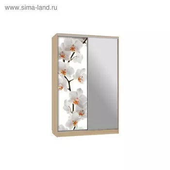 Шкаф-купе "Рио 9-600 83", 1200x600x2300, Дуб сонома