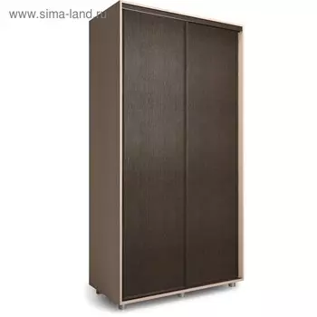 Шкаф-купе Удачный 1200х600х2300 Венге Светлый/Венге Темный