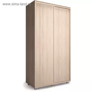 Шкаф-купе Удачный 1200х600х2300 Ясень Шимо Светлый