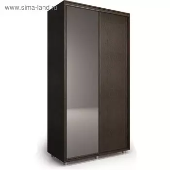 Шкаф-купе Удачный 1 зеркало 1200х600х2300 Венге Темный