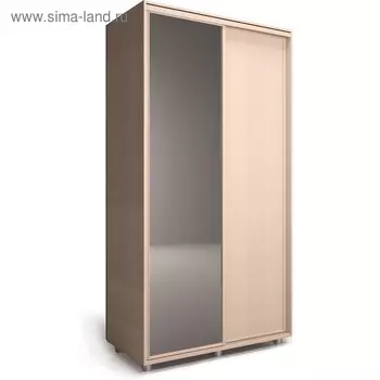 Шкаф-купе Удачный 1 зеркало 1200х600х2300 Венге Светлый