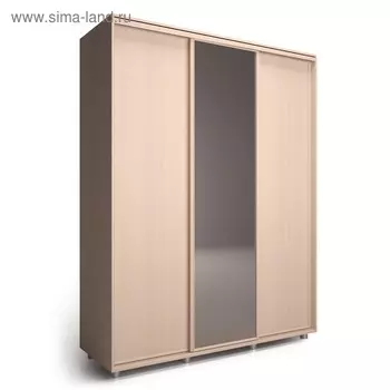 Шкаф-купе Удачный 1 зеркало 2070х600х2300 Венге Светлый