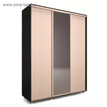 Шкаф-купе Удачный 1 зеркало 2070х600х2300 Венге Темный/Венге Светлый