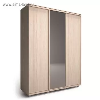 Шкаф-купе Удачный 1 зеркало 2070х600х2300 Ясень Шимо Светлый