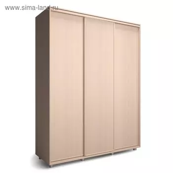 Шкаф-купе Удачный 2070х600х2300 Венге Светлый