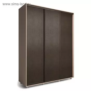 Шкаф-купе Удачный 2370х600х2300 Венге Светлый/Венге Темный