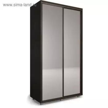 Шкаф-купе Удачный 2 зеркала 1200х600х2300 Венге Темный