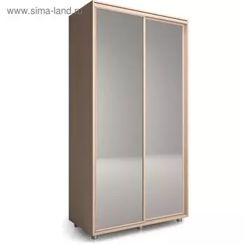 Шкаф-купе Удачный 2 зеркала 1600х600х2300 Венге Светлый