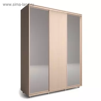 Шкаф-купе Удачный 2 зеркала 2070х600х2300 Венге Светлый