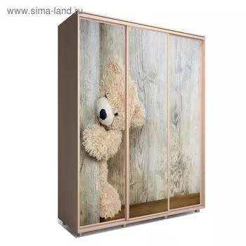 Шкаф-купе Яркий-222 2070600х2300 Венге Светлый/Детский 2