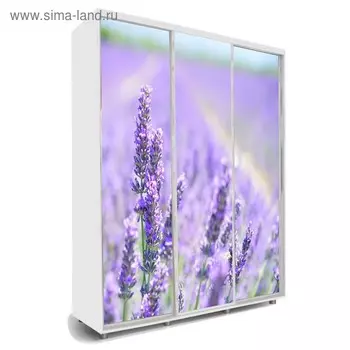 Шкаф-купе Яркий-222 2070х600х2300 Белый/Цветы 2