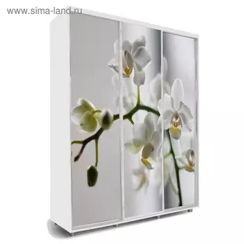 Шкаф-купе Яркий-222 2070х600х2300 Белый/Цветы 1