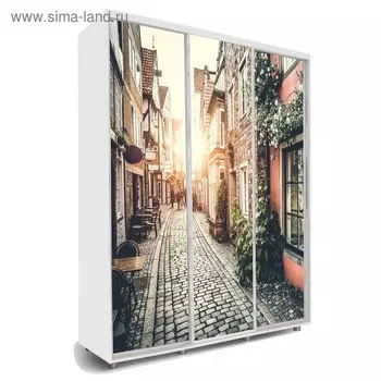 Шкаф-купе Яркий-222 2070х600х2300 Белый/Путешествие 3