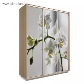 Шкаф-купе Яркий-222 2070х600х2300 Дуб Сонома/Цветы 1