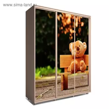 Шкаф-купе Яркий-222 2070х600х2300 Венге Светлый/Детский 1