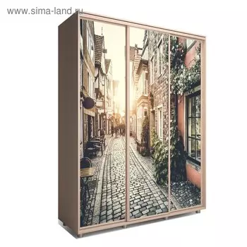 Шкаф-купе Яркий-222 2070х600х2300 Венге Светлый/Путешествие 3