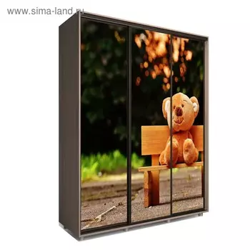 Шкаф-купе Яркий-222 2070х600х2300 Ясень Шимо Темный/Детский 1