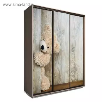 Шкаф-купе Яркий-222 2070х600х2300 Ясень Шимо Темный/Детский 2