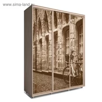 Шкаф-купе Яркий-222 2070х600х2300 Ясень Шимо Светлый/Путешествие 2