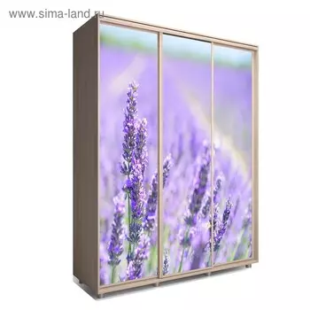 Шкаф-купе Яркий-222 2070х600х2300 Ясень Шимо Светлый/Цветы 2