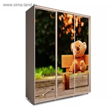 Шкаф-купе Яркий-222 2070х600х2300 Ясень Шимо Светлый/Детский 1