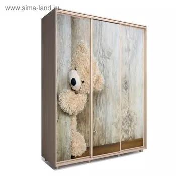 Шкаф-купе Яркий-222 2070х600х2300 Ясень Шимо Светлый/Детский 2