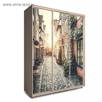 Шкаф-купе Яркий-222 2070х600х2300 Ясень Шимо Светлый/Путешествие 3