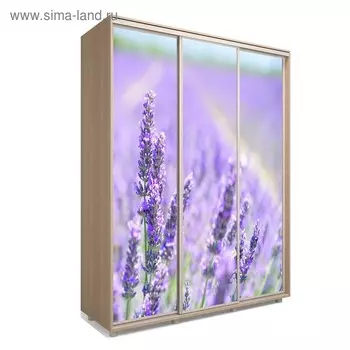 Шкаф-купе Яркий-222, 2370х600х2300, Дуб сонома/Цветы 2