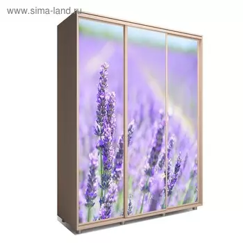 Шкаф-купе Яркий-222 2370х600х2300 Венге Светлый/Цветы 2