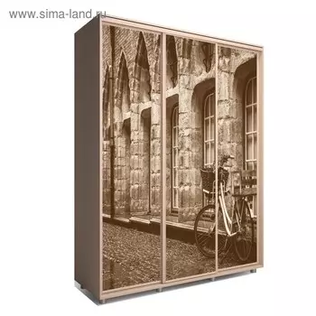 Шкаф-купе Яркий-222 2370х600х2300 Венге Светлый/Путешествие 2