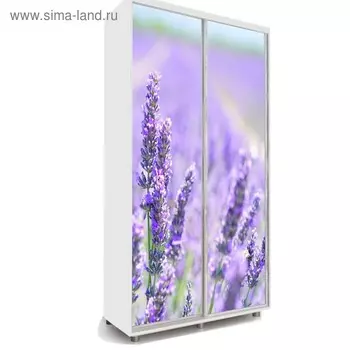 Шкаф-купе Яркий-22 1200х600х2300 Белый/Цветы 2