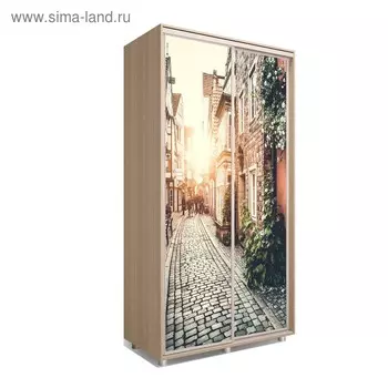 Шкаф-купе Яркий-22 1200х600х2300 Дуб Сонома/Путешествие 3