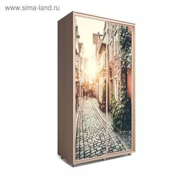 Шкаф-купе Яркий-22 1200х600х2300 Венге Светлый/Путешествие 3