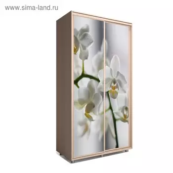 Шкаф-купе Яркий-22 1200х600х2300 Венге Светлый/Цветы 1