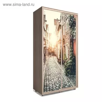 Шкаф-купе Яркий-22 1200х600х2300 Ясень Шимо Светлый/Путешествие 3