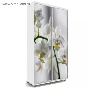 Шкаф-купе Яркий-22 1400х600х2300 Белый/Цветы 1