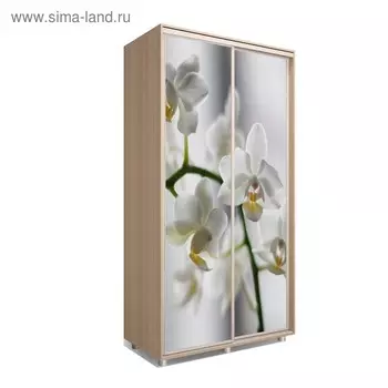 Шкаф-купе Яркий-22 1400х600х2300 Дуб Сонома/Цветы 1