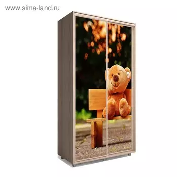 Шкаф-купе Яркий-22 1400х600х2300 Ясень Шимо Светлый/Детский 1