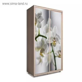 Шкаф-купе Яркий-22 1400х600х2300 Ясень Шимо Светлый/Цветы 1