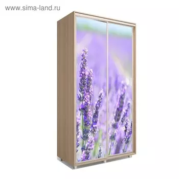 Шкаф-купе Яркий-22 1600х600х2300 Дуб Сонома/Цветы 2