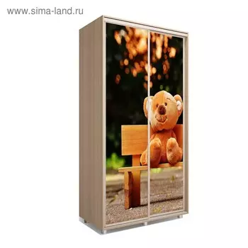 Шкаф-купе Яркий-22 1600х600х2300 Дуб Сонома/Детский 1