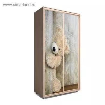 Шкаф-купе Яркий-22 1600х600х2300 Венге Светлый/Детский 2