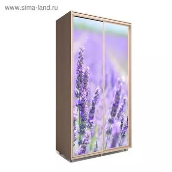 Шкаф-купе Яркий-22 1600х600х2300 Венге Светлый/Цветы 2