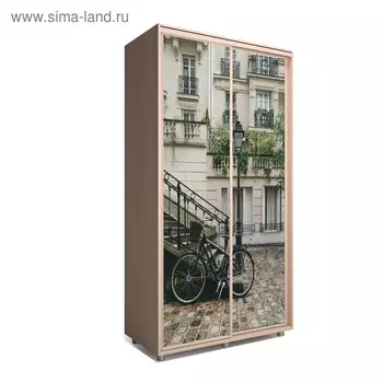 Шкаф-купе Яркий-22 1600х600х2300 Венге Светлый/Путешествие 1