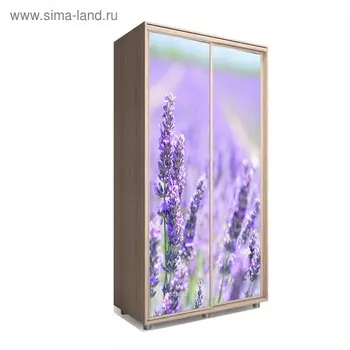 Шкаф-купе Яркий-22 1600х600х2300 Ясень Шимо Светлый/Цветы 2